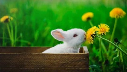 mk体育登录-中国足球职业联赛完善赛事突发状况应对机制，中国足球职业联赛正式开始