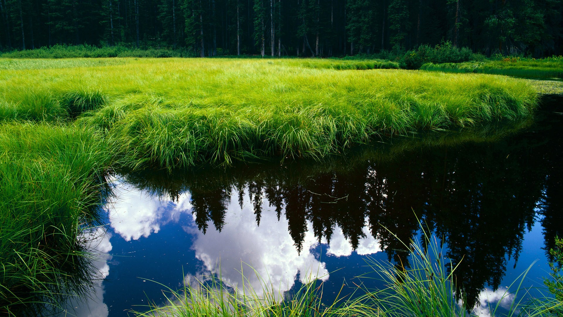 意甲青训体系融入心理韧性训练提升比赛应对能力,意甲青年队