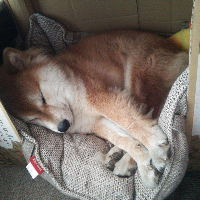 法甲球队通过视频情境语义理解提升战术执行一致性,法甲集锦