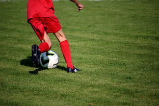 mk体育网页-篮球运动员心理韧性培养及心理干预体系建设，篮球运动员心理素质的重要性