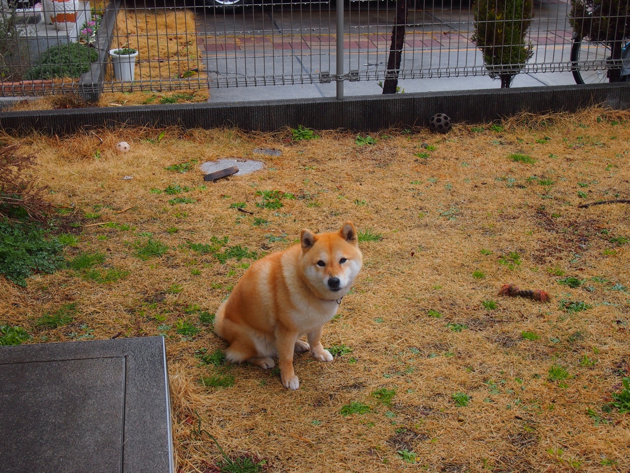 mk体育现在-赛季期待：哪些比赛最受球迷关注？，最受欢迎的球队有哪些