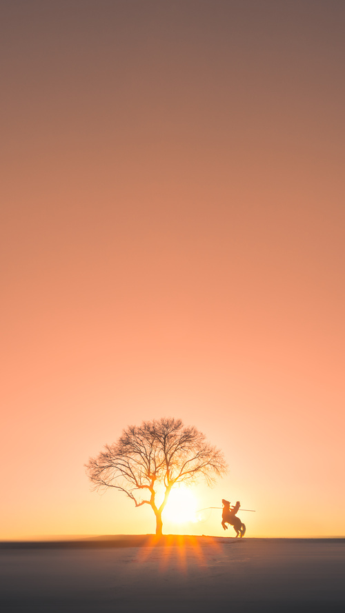 mk sport-“2025世界运动会东安湖体育公园：跑酷赛事让观众热血沸腾”