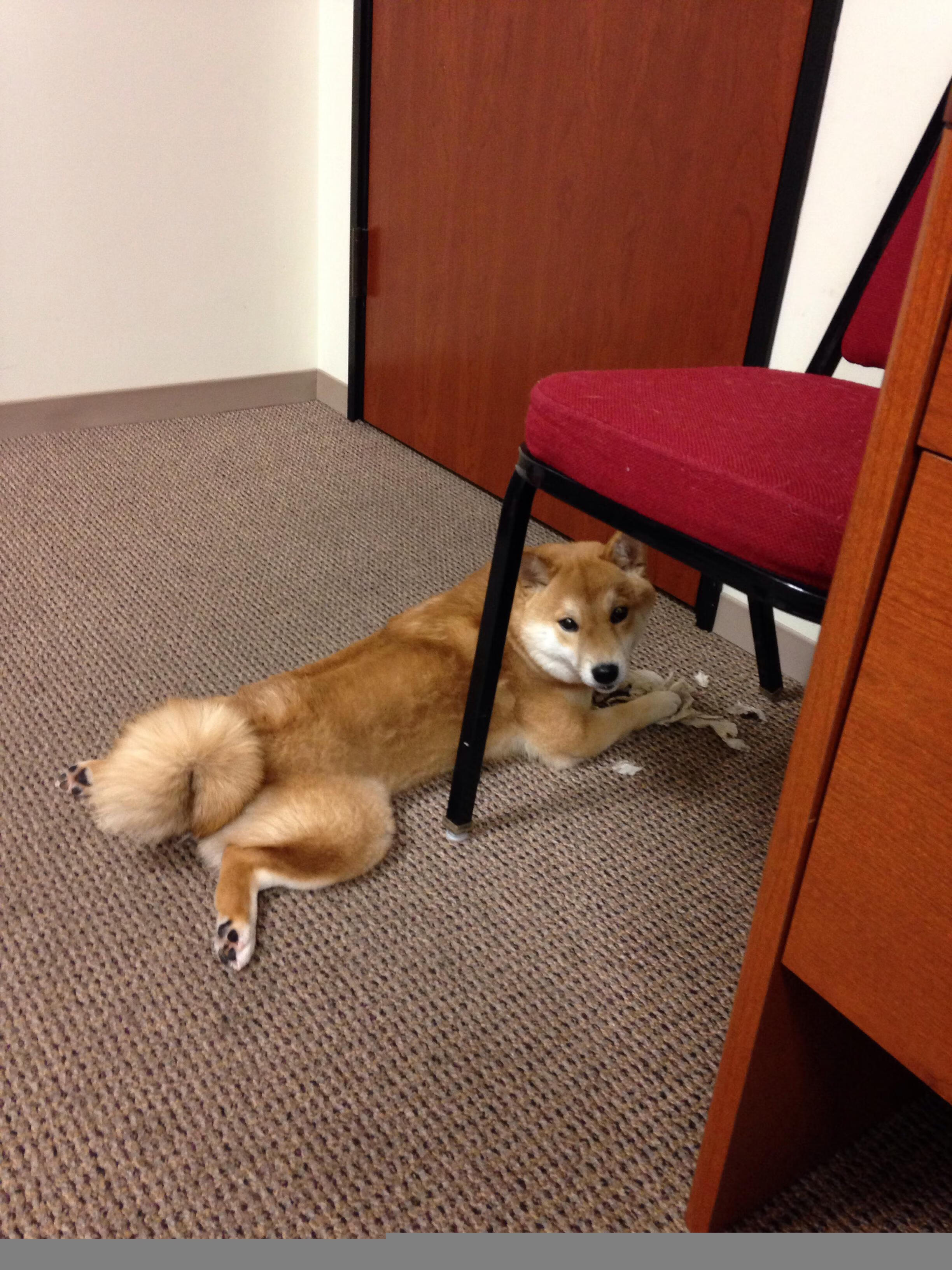 世界杯预选赛中国青年队战平 战术调整成焦点，2022世界杯预选赛中国队赛程时间表一览