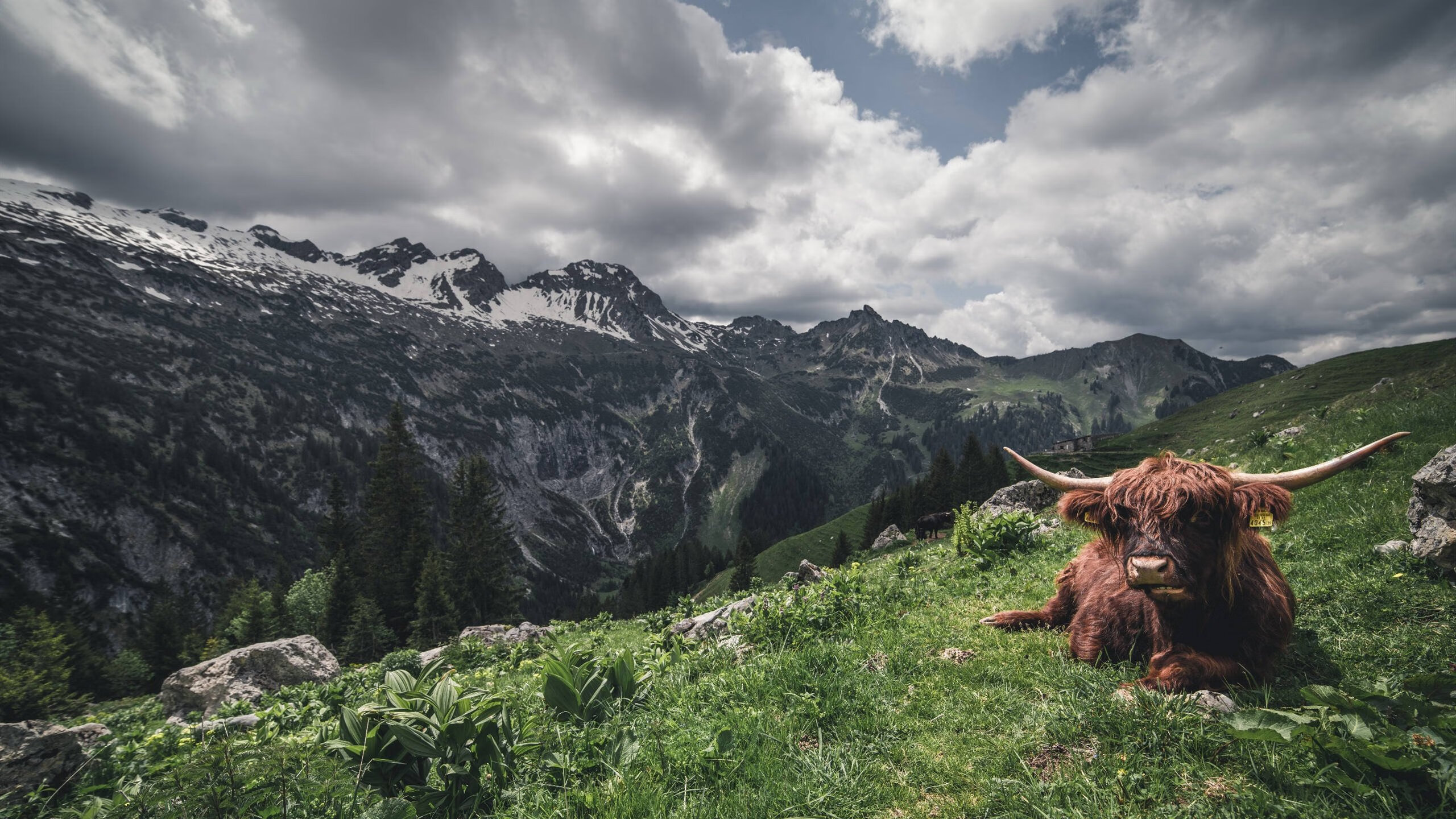 中国击剑队世界锦标赛斩获两金,中国击剑队世界锦标赛斩获两金冠军