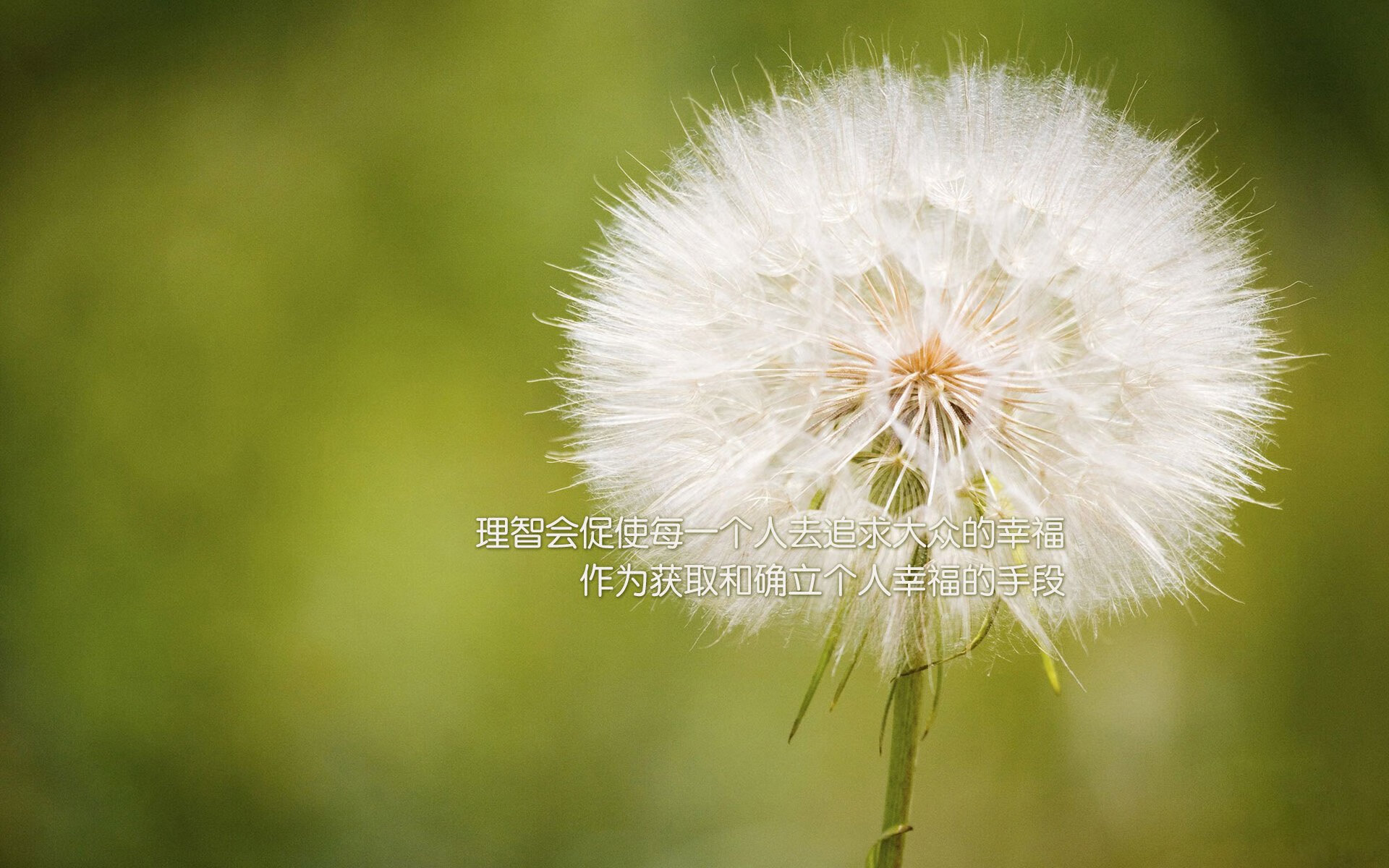 mk体育登录-中锋做球与背身牵制作用突出，篮球中锋背打视频教程