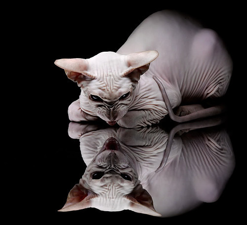 体育新闻中心参与青少年体育成长故事征集活动,体育新闻素材稿