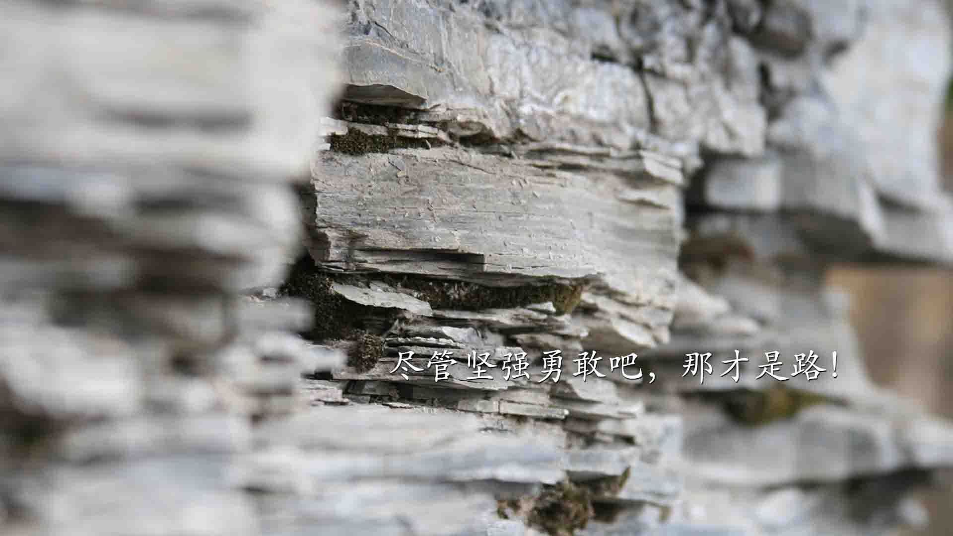 mk体育app-体育新闻中心推动媒体端体育内容智能分发系统升级，体育新闻媒体有哪些