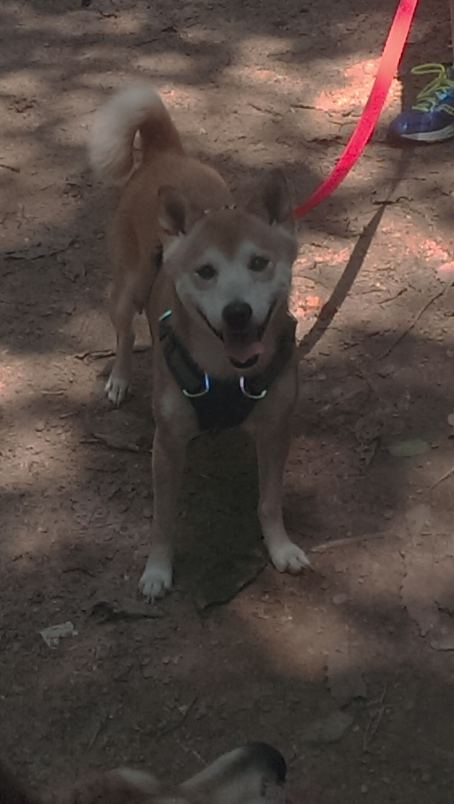 国际热身赛U23国足战平 技术执行需提升,u22热身赛