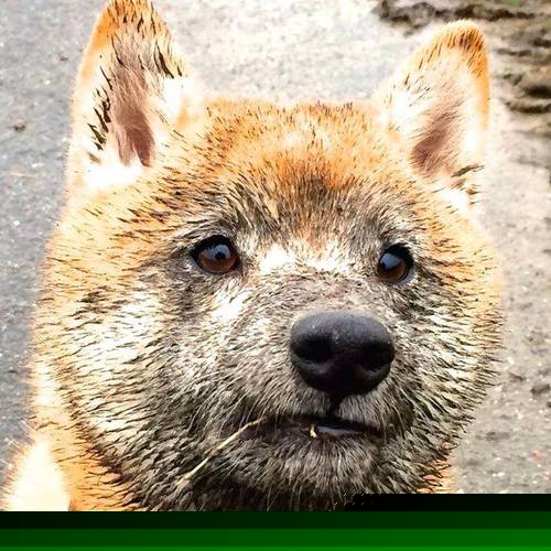 控球断点处理是否成为控球型球队关键训练项目,控球技巧