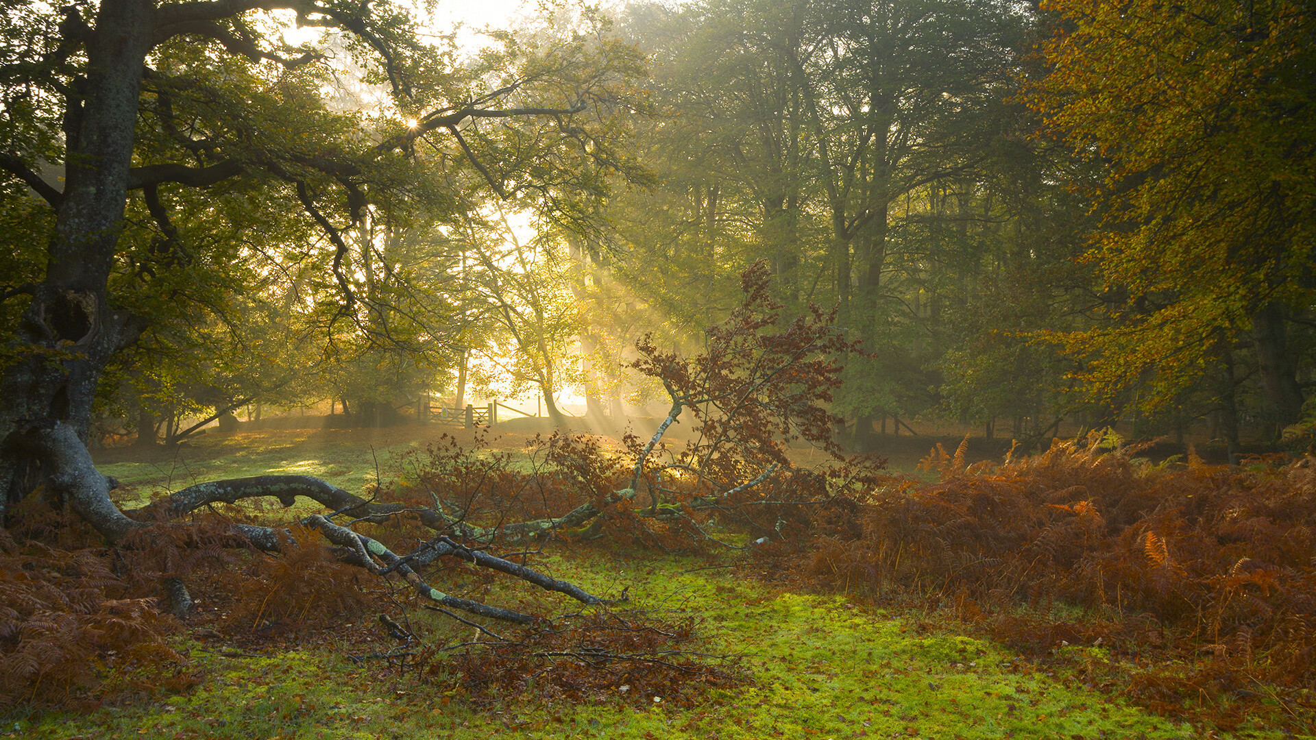 数据无法解释的决策是否仍影响联赛发展趋势,数据解密不正确