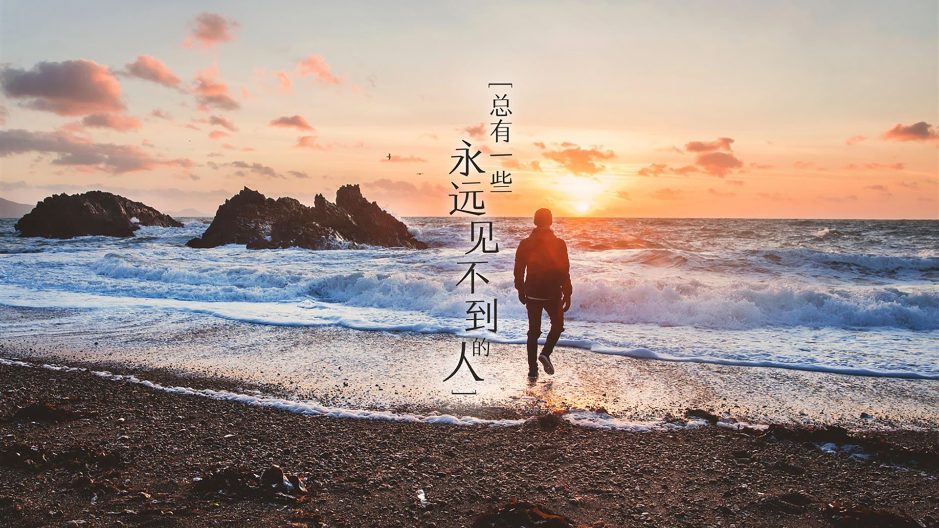 自由泳世界前十划水效率榜出炉,自由泳划水力量训练