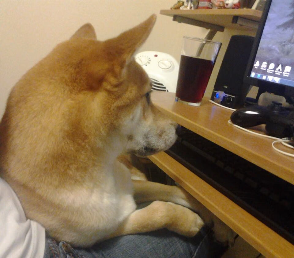 青少年足球赛事组织缺乏专业化，青少年的足球联赛