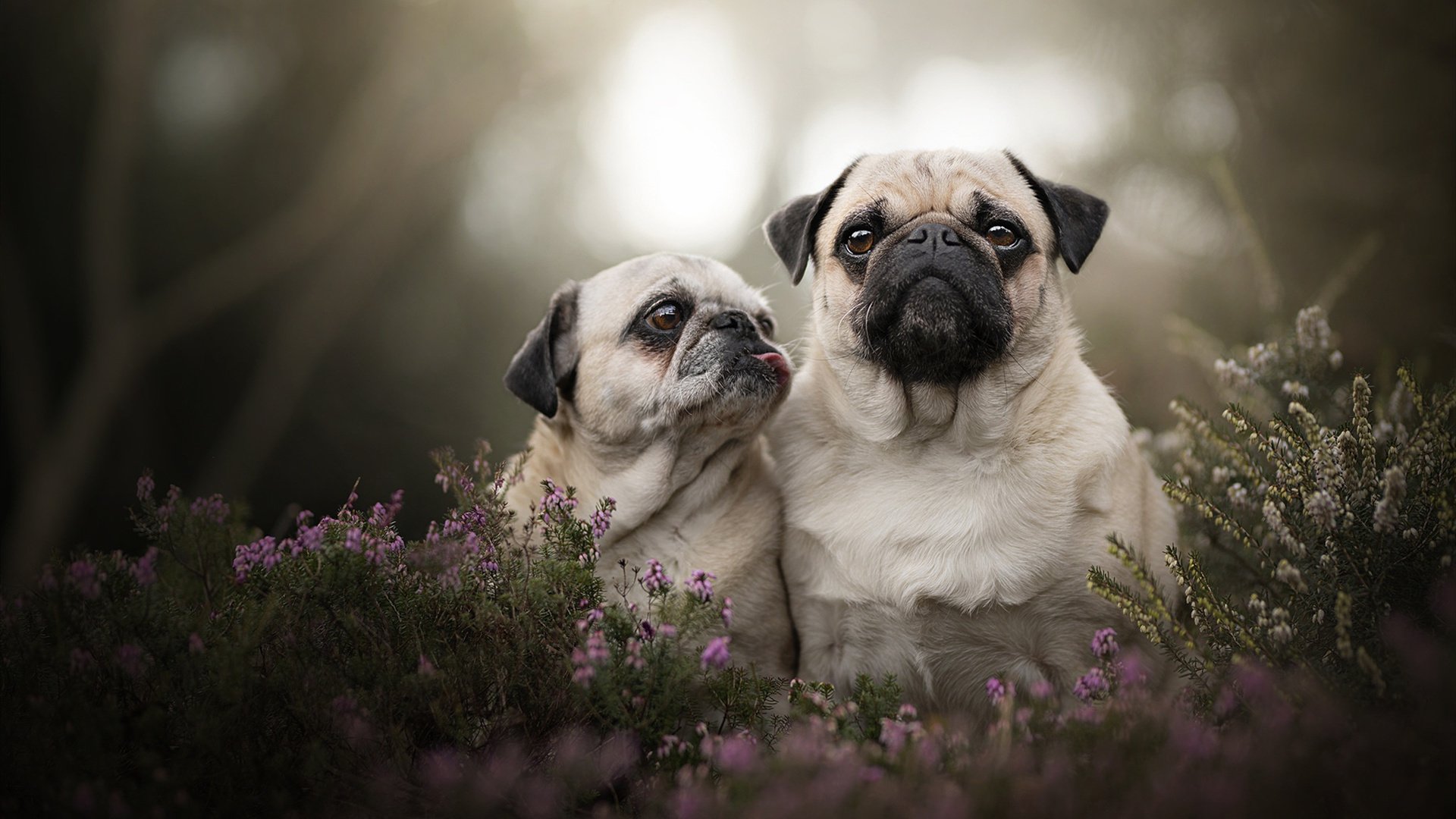 mk体育官网入口-万乐天用速度与耐力完美结合，wanle万乐