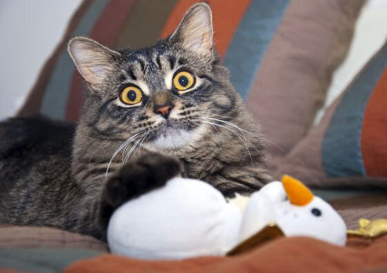 mk体育网页-中国组合李亚杰与程子龙表现稳健夺目，李亚杰是谁