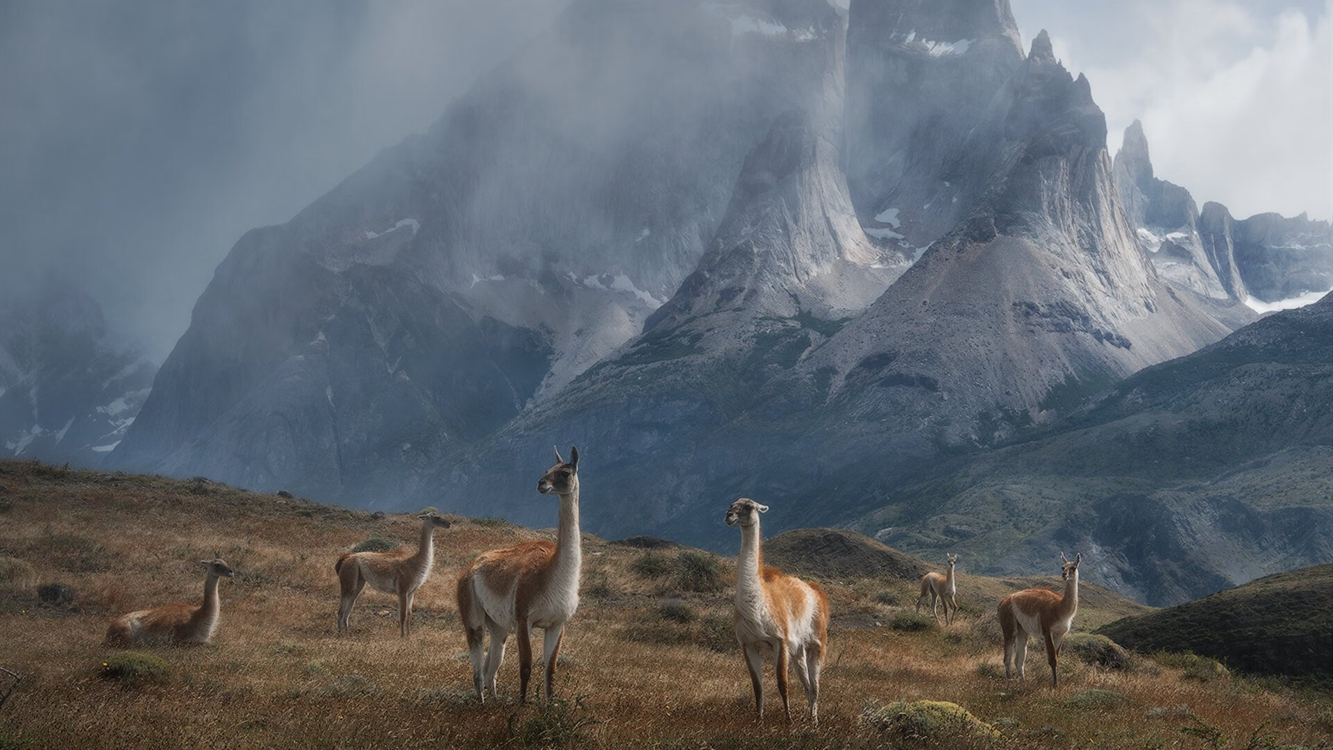 mk体育网址-主帅战术体系成型，主帅的重要性