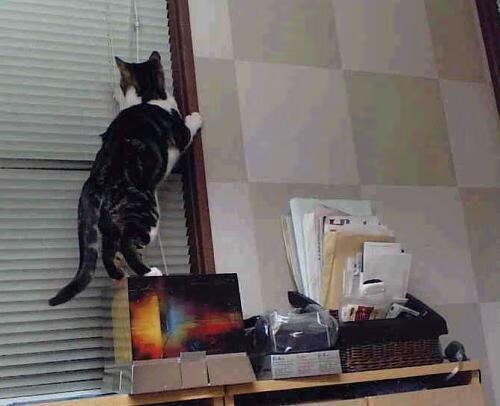 利物浦欧冠出线在望,追逐欧洲荣耀