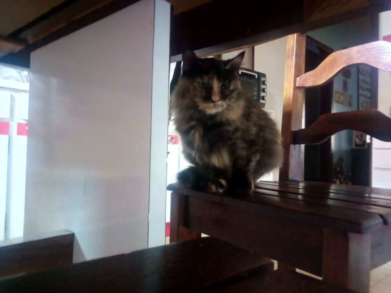 马拉维男篮在非洲锦标赛中再度夺冠,体育影响力不断扩大,非洲 马拉维